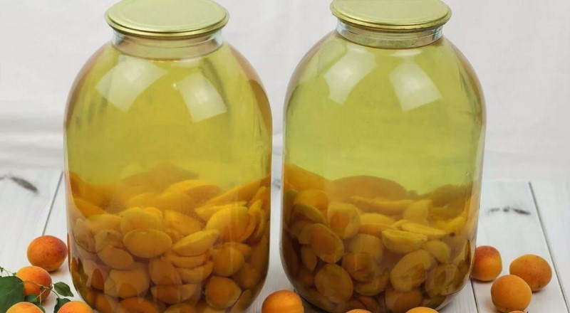 Компот из абрикосов на зиму — 6 простых рецептов абрикосового компота в банках