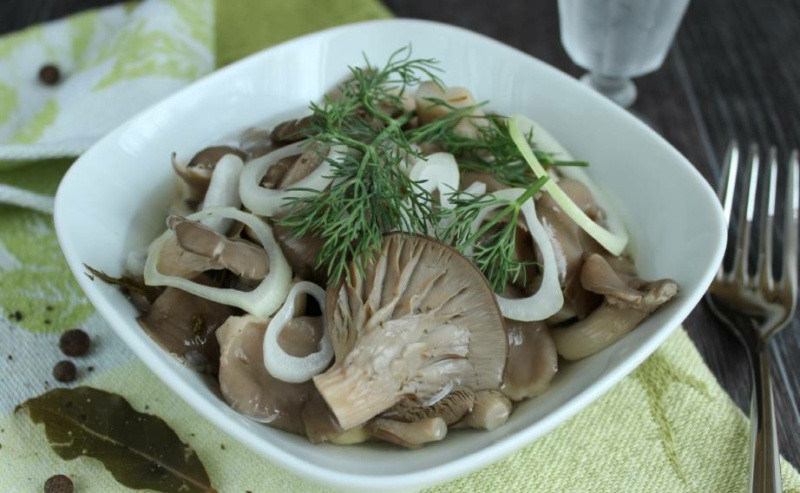 Как мариновать вешенки — 4 лучших на сегодня рецепта для новичка